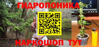эйфоретик Ликино-Дулёво