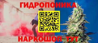 трава Лесосибирск