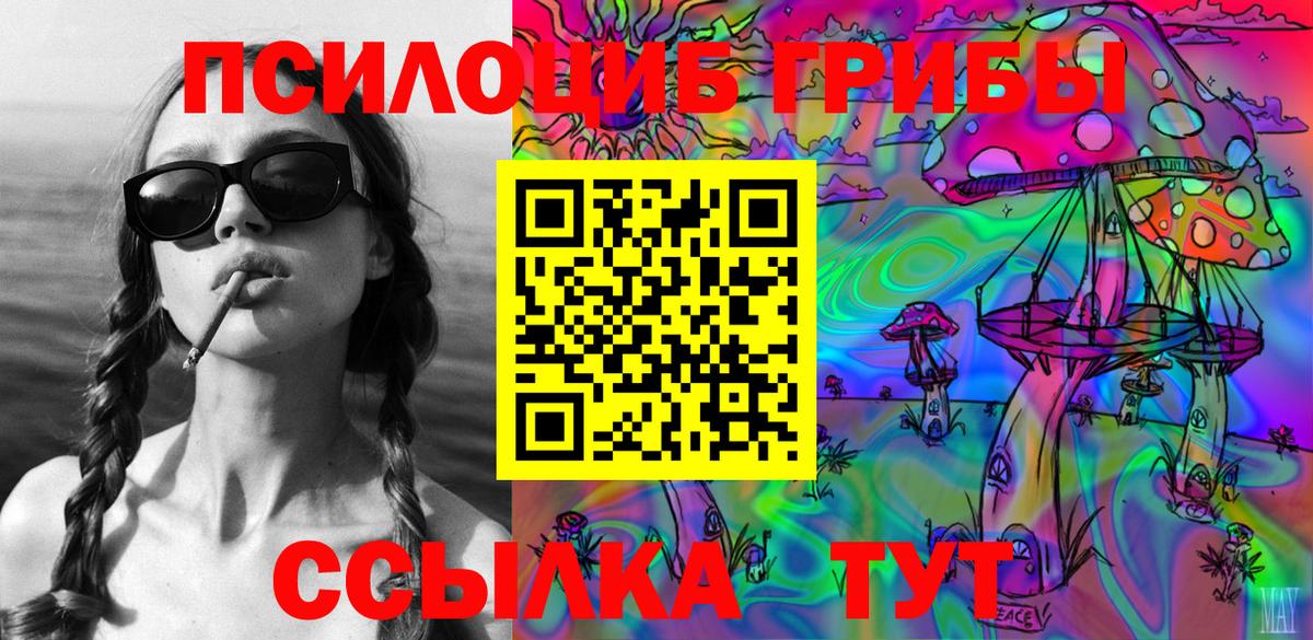 Губаха  Галлюциногенные грибы прущие грибы  Псилоцибиновые грибы Magic Shrooms  цены   Вход с VPN 